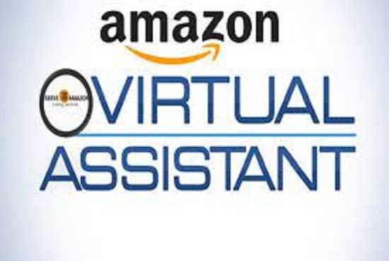 be amazon fba wholesale virtual assistant