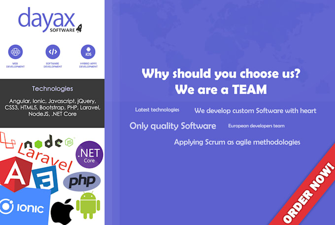 do custom api development
