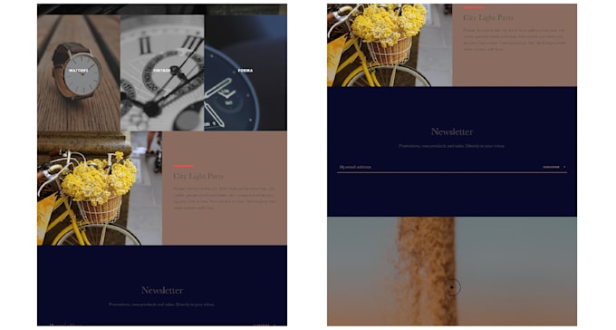set up and design your shopify website
