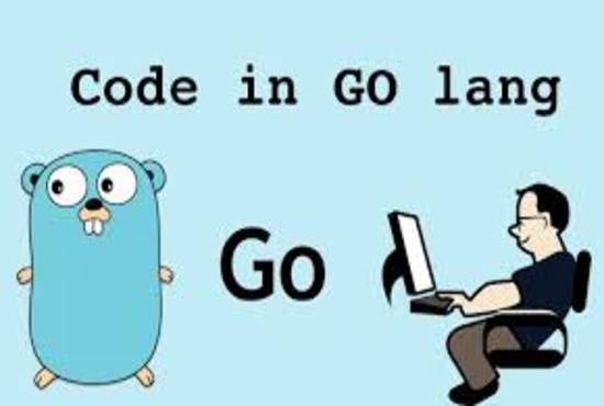 fix all your bugs and issues in go or golang code