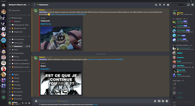 creation of professional discord servers