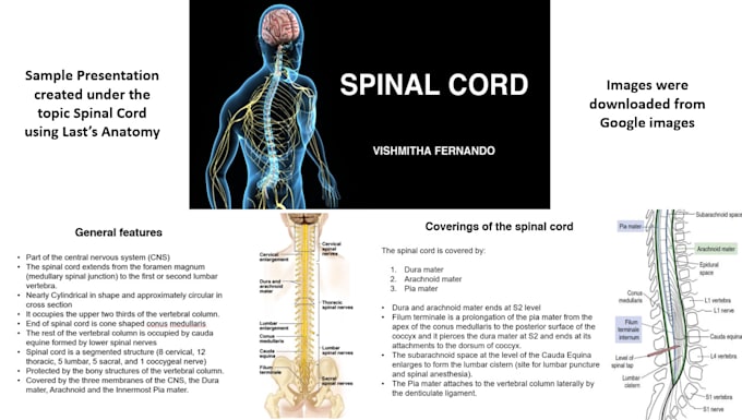 create unique  presentations in anatomy, physiology, and biochemistry