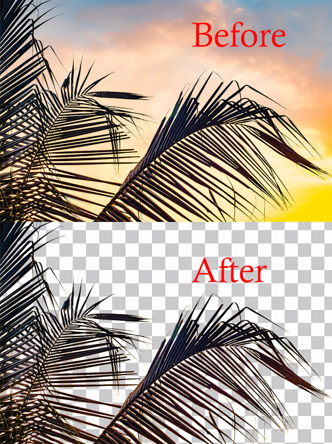 remove your photo image background