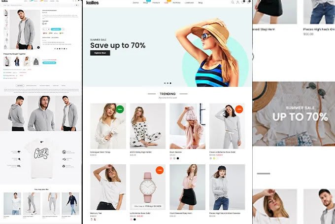 create  ecommerce website professional wordpress ecommerce website