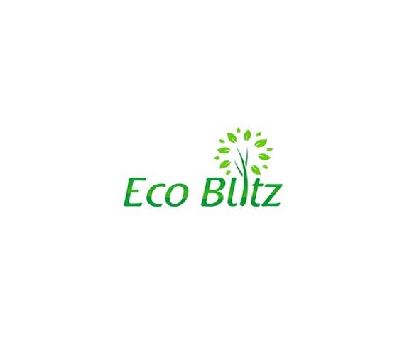 design modern eco blitz logo in 1 day