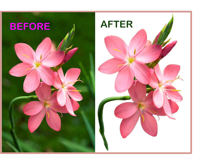 remove background of any image and deliver within one hour