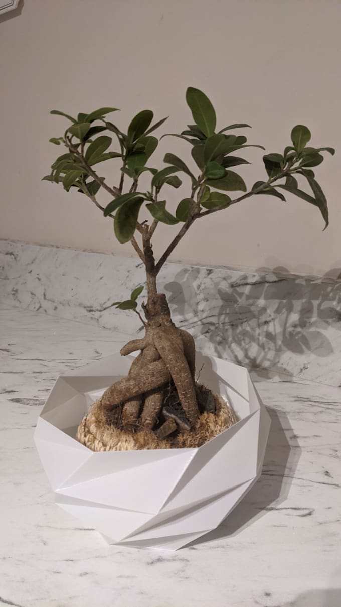 3d print and help with your 3d model