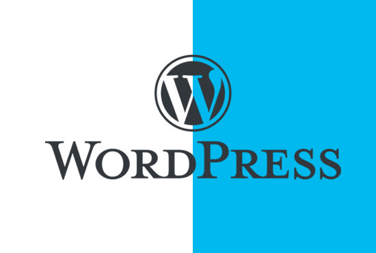 create premium wordpress website and blog