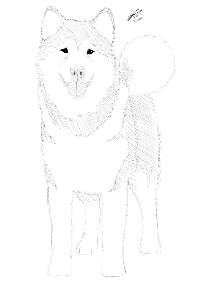 sketch your beloved pet