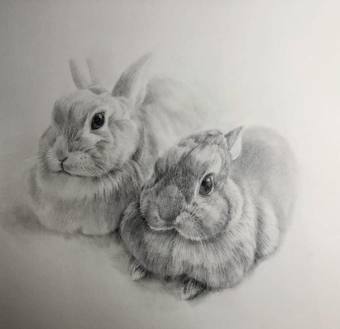 draw your pet in realistic style