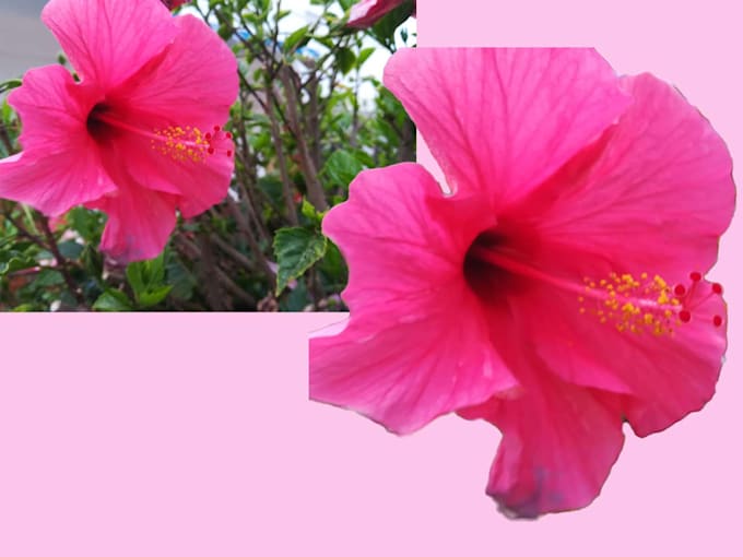 photoshop precisely background removal