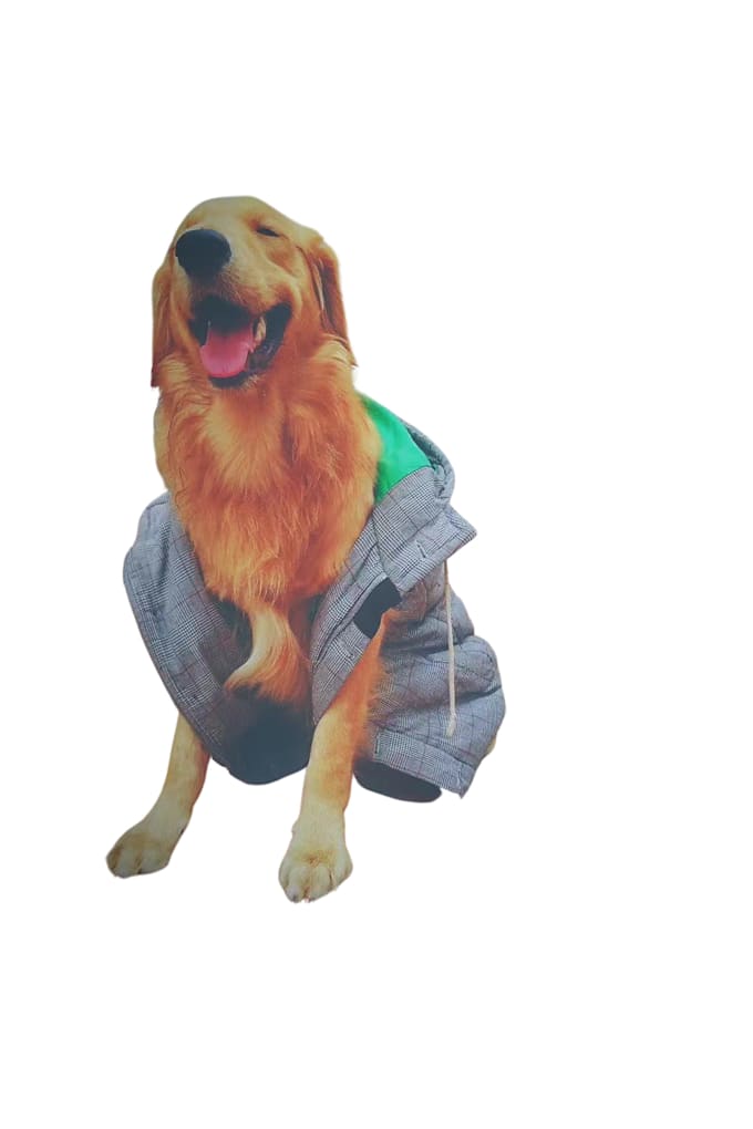 professionally remove background from image, cut out photos