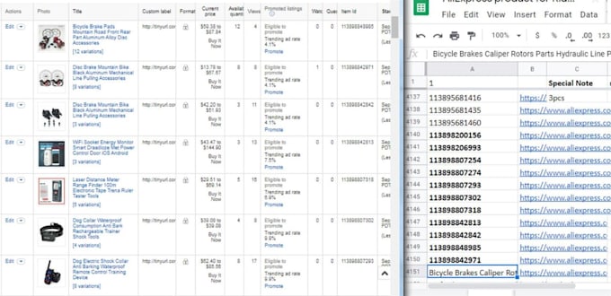 manage ebay store and experienced VA