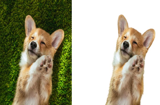 do a fancy background removal