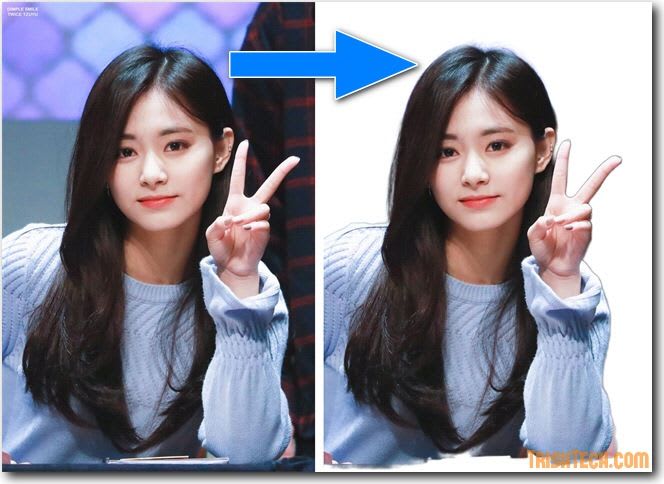 professionally remove background from image, cut out photos