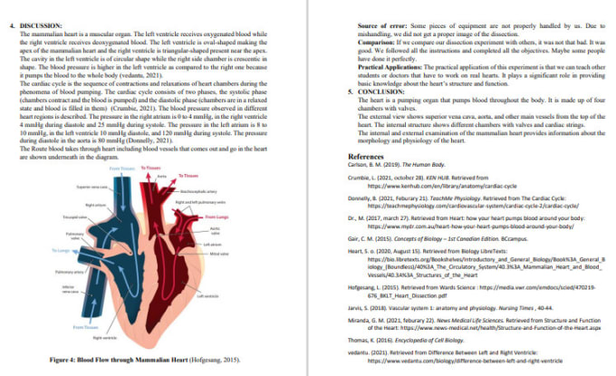 Write technical reports, articles, and blogs on anatomy and physiology by  Ghaziakhan1997