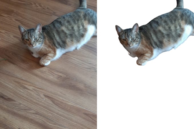 remove your photo image background