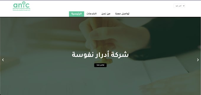 build a wordpress website