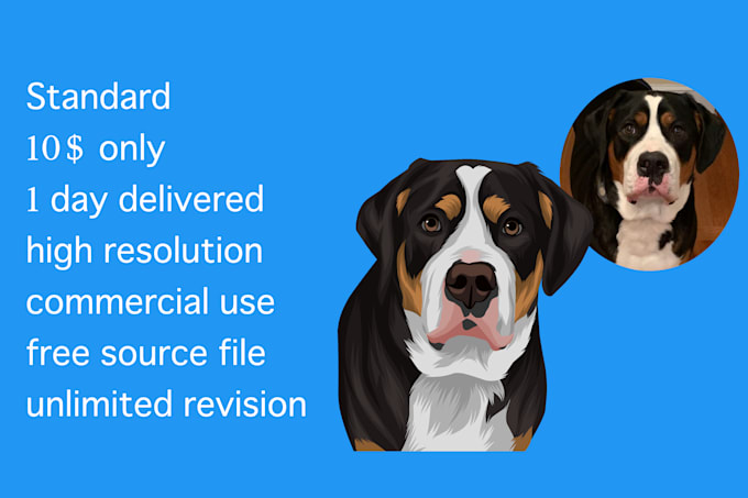 draw your pet into cartoon