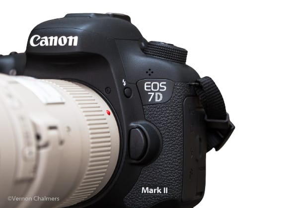 professionally remove background images