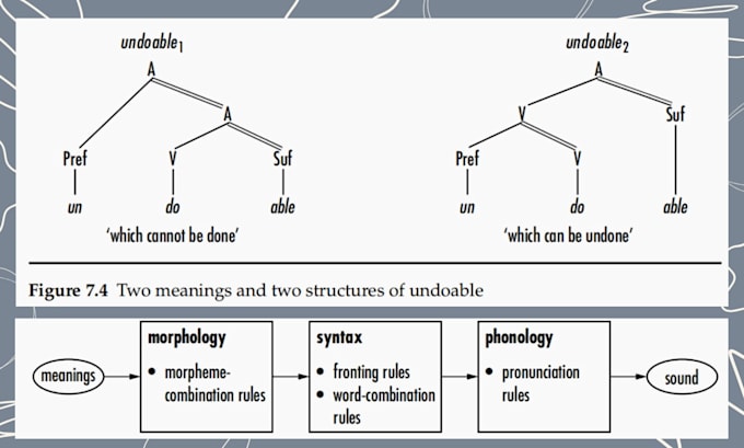 help you in english morphology, morphophonology, and morphological analysis