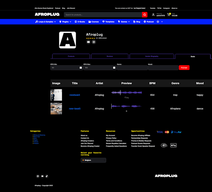 customize and fix your dokan multivendor marketplace