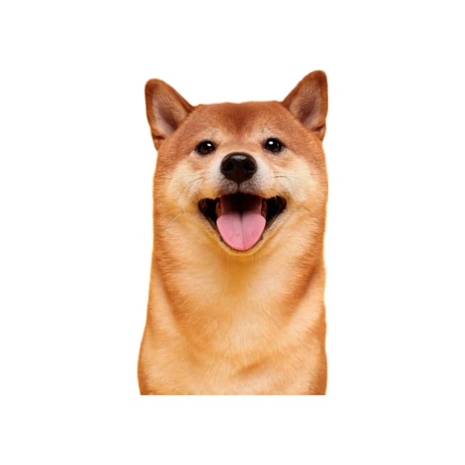 delete any background from the photo
