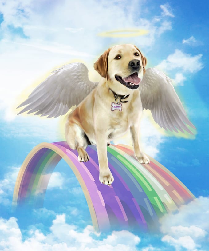 draw your dog in semirealist style