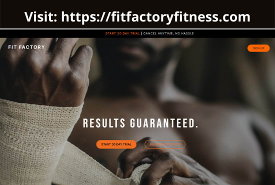 build, redesign or develop responsive wordpress website