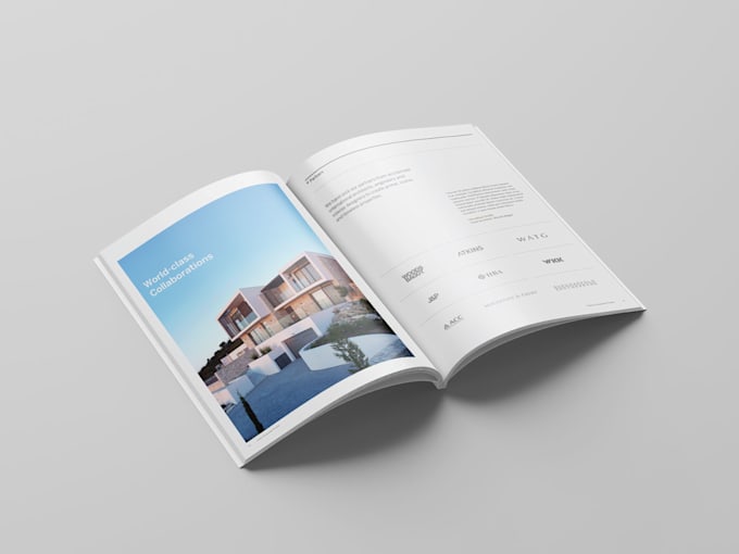 design a professional business brochure and flyer