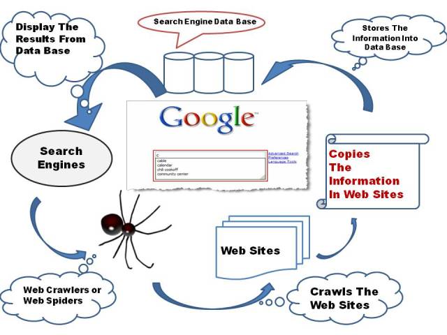 professional Website SEO and Indexing