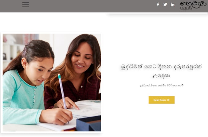 create professional wordpress website development