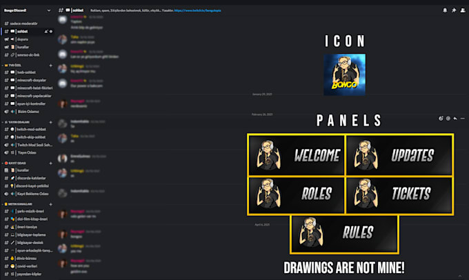 professionally setup new  discord server with in 24 hours
