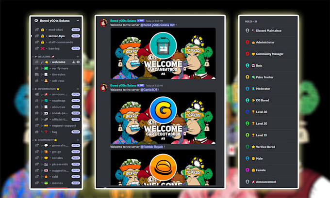 setup the secure crypto, nft discord server within 24 hours