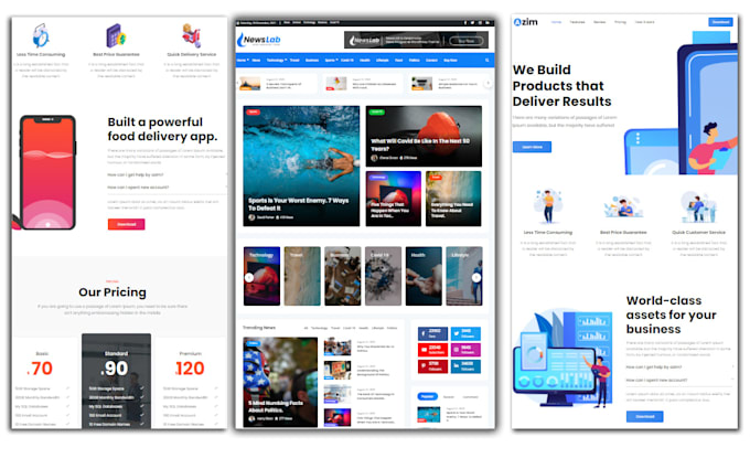 design and develop custom wordpress website responsive