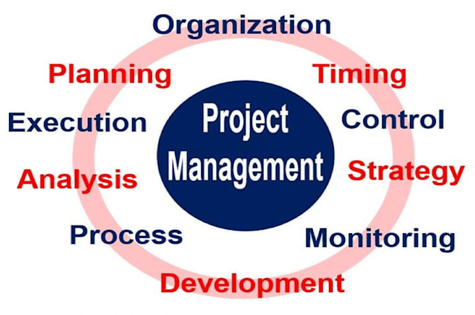 work on project management, supply chain management and risk management report