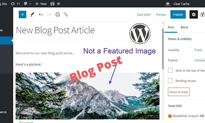 do content upload, article posting, a blog post in wordpress