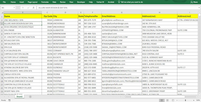do excel data entry, copy paste, data cleaning, and formatting