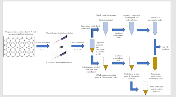 make you an engineering scientific or medical presentation