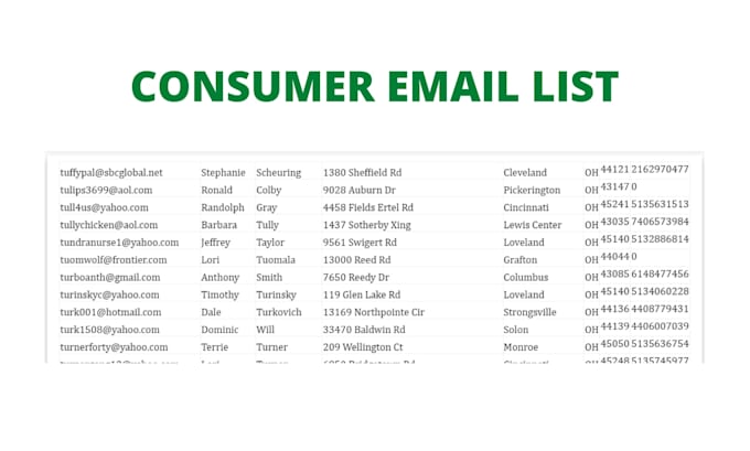 build a business to consumer email list