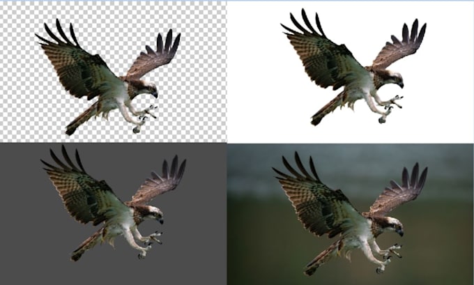 Cut out images, remove bg , transparent background quick by Raogee | Fiverr