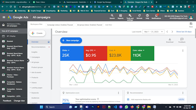 be your expert google adwords and PPC ads campaign manager