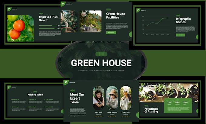 design exclusive powerpoint presentation