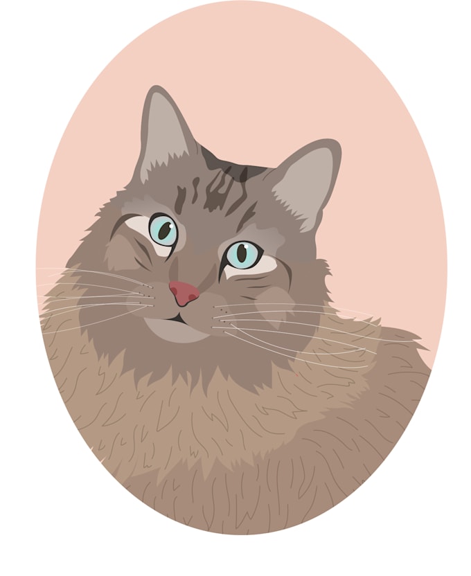 draw hand drawn pet illustration