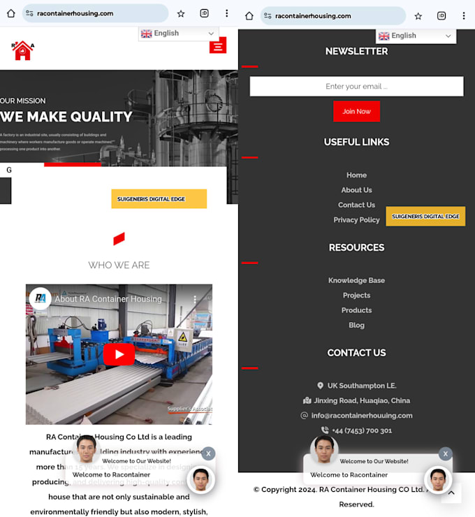 design a professional wordpress website