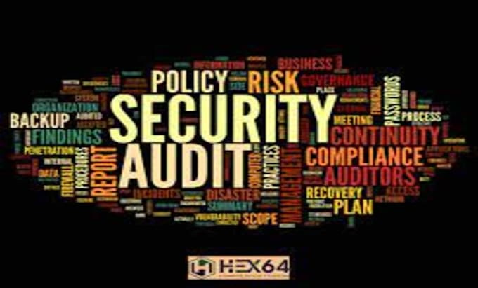 perform a pentest and security audit