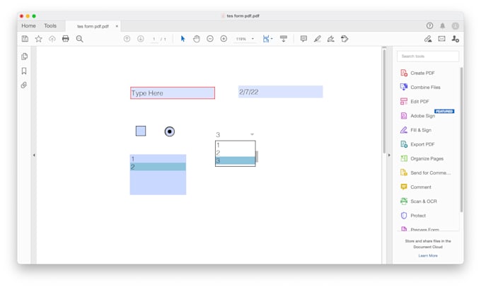 Pdf Fillable Form Text Box - Printable Forms Free Online