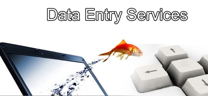 do any kind of data entry work in 3hrs