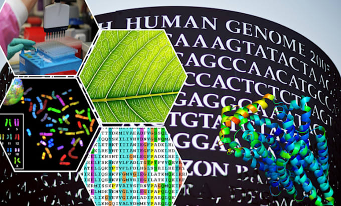 assist you in bioinformatics and python tasks