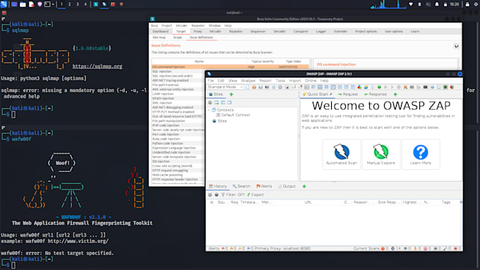 pentest your website and web apps